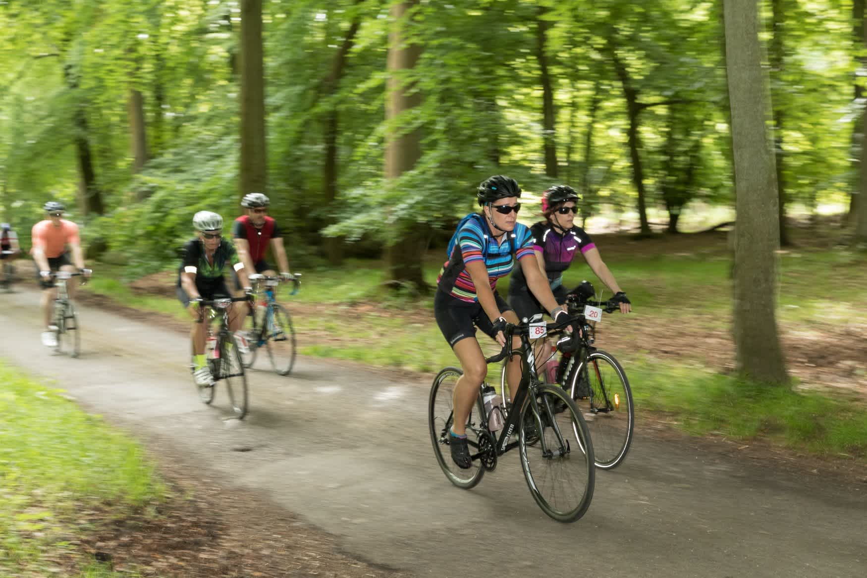 Secondary header image