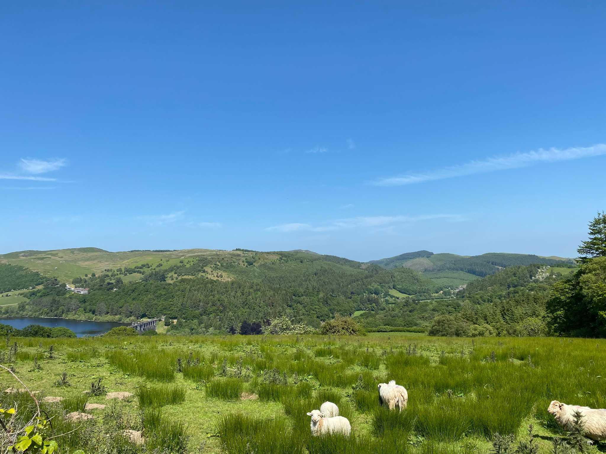 Secondary header image