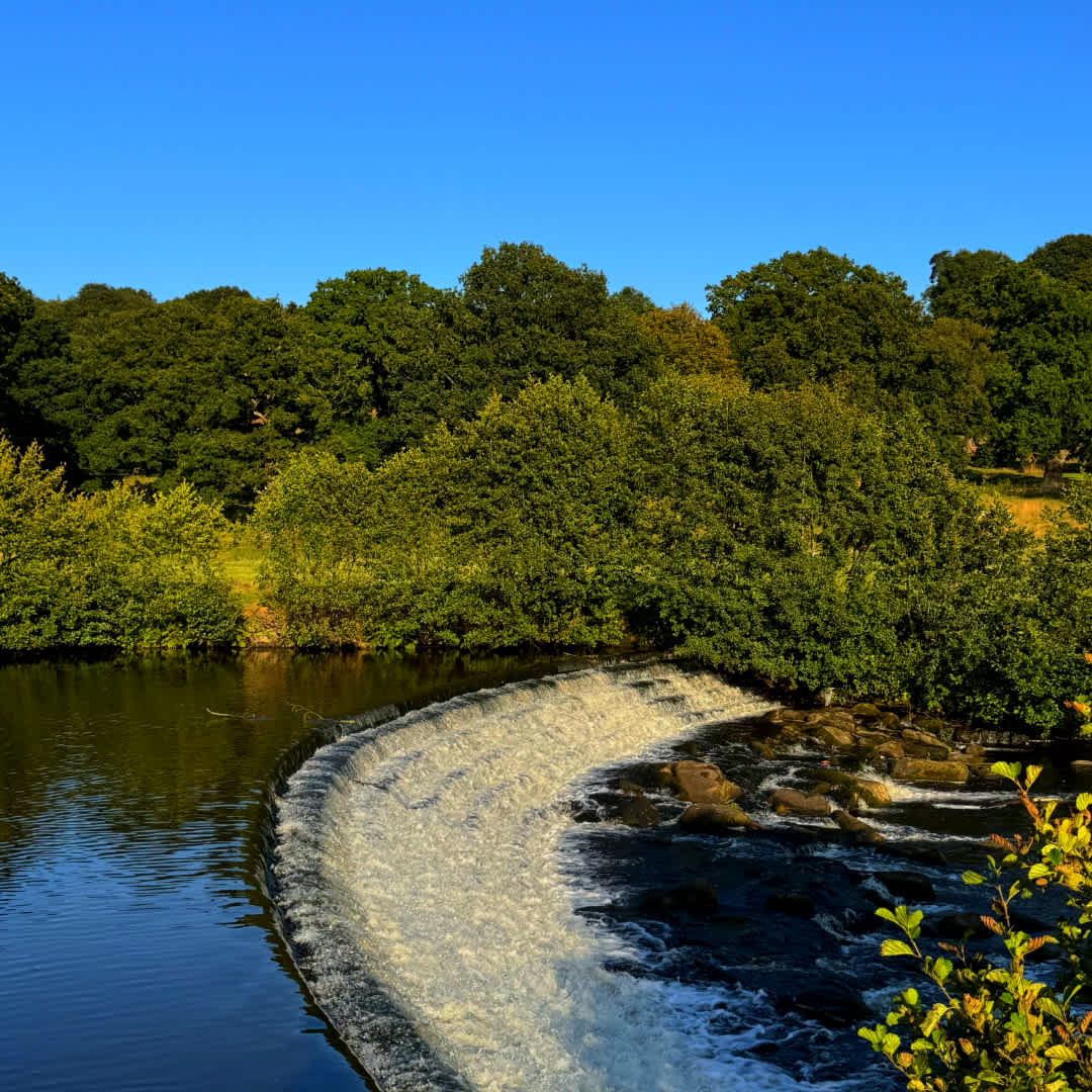 Secondary header image