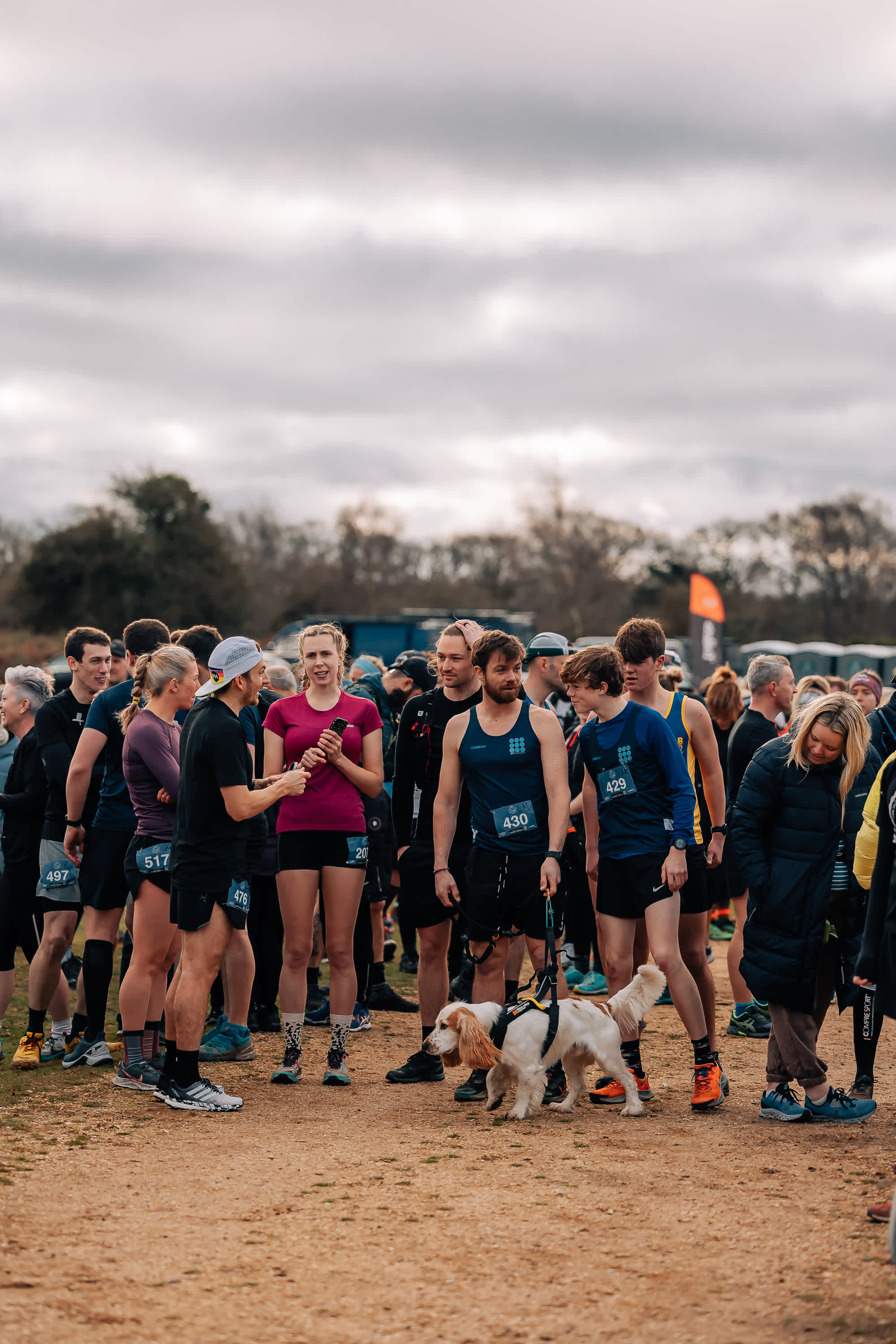 Secondary header image