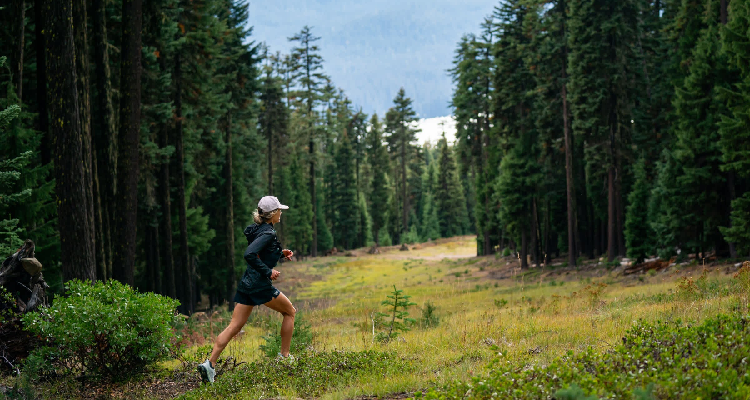 Secondary header image