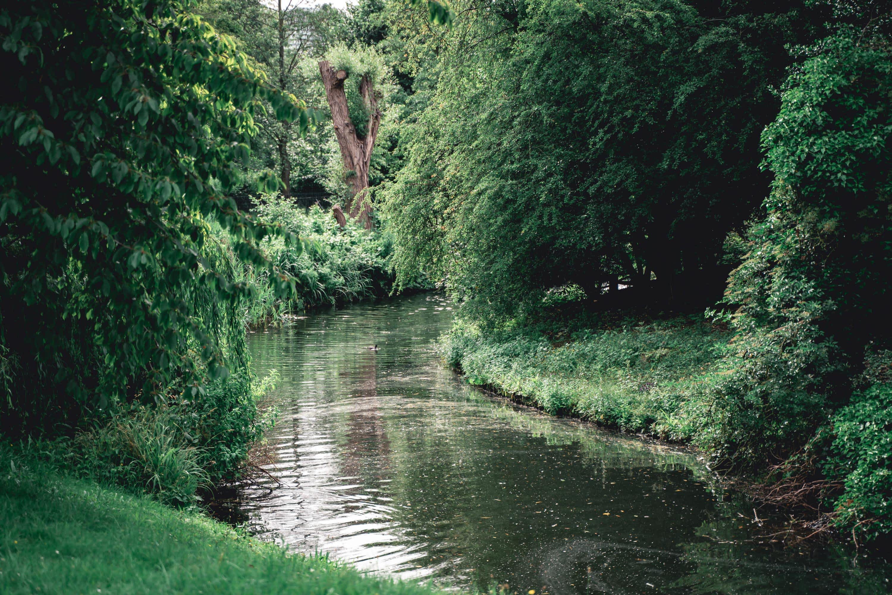 Secondary header image