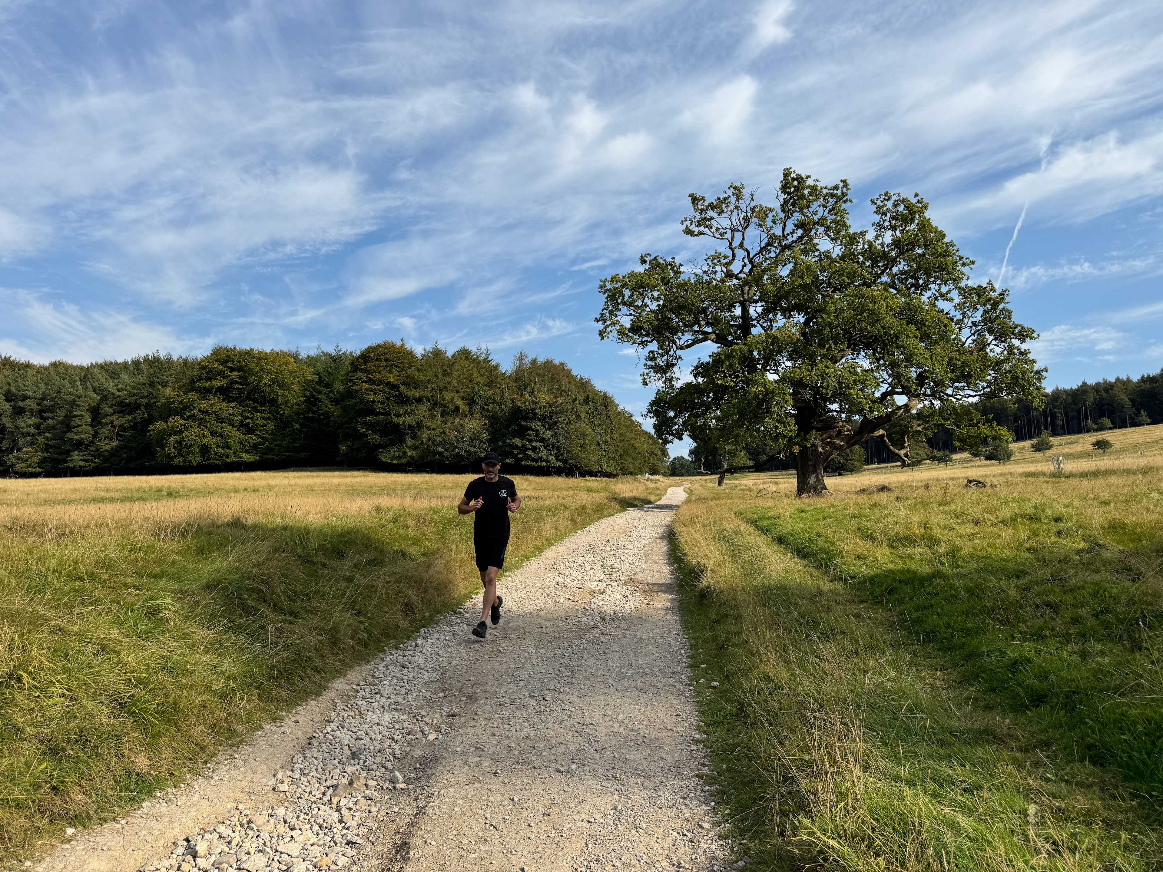 Secondary header image