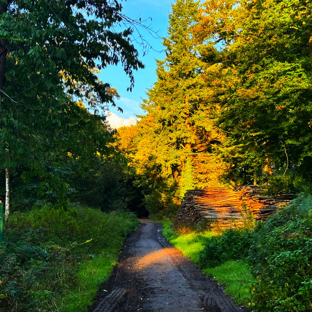 Secondary header image