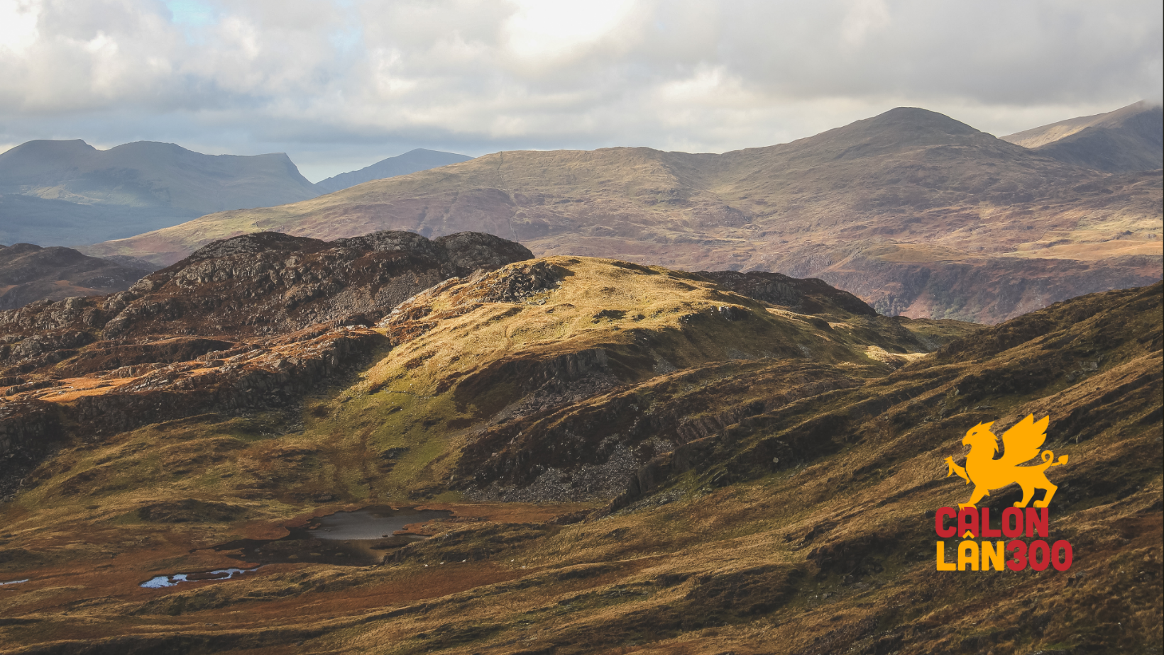 Secondary header image