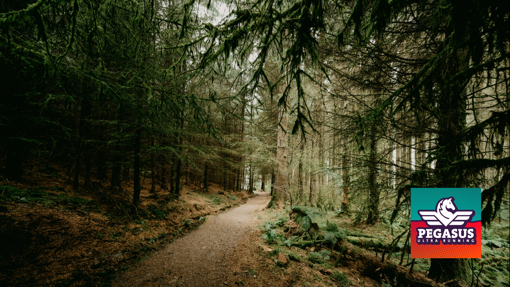 Secondary header image