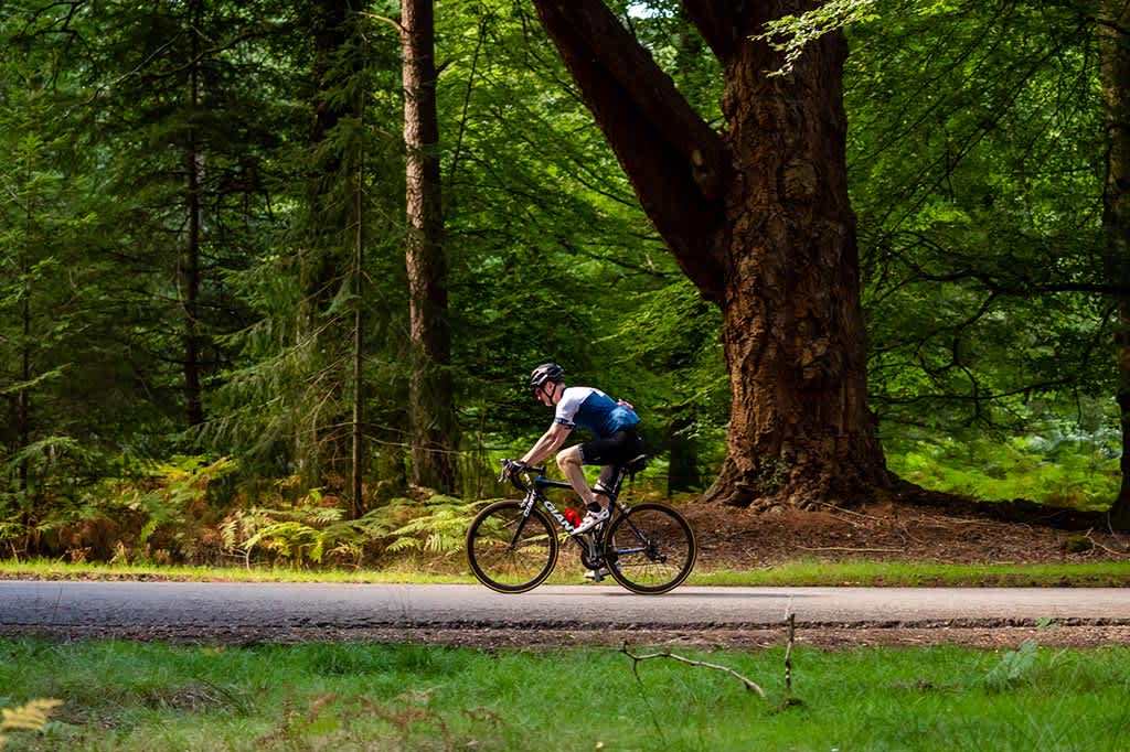 Secondary header image