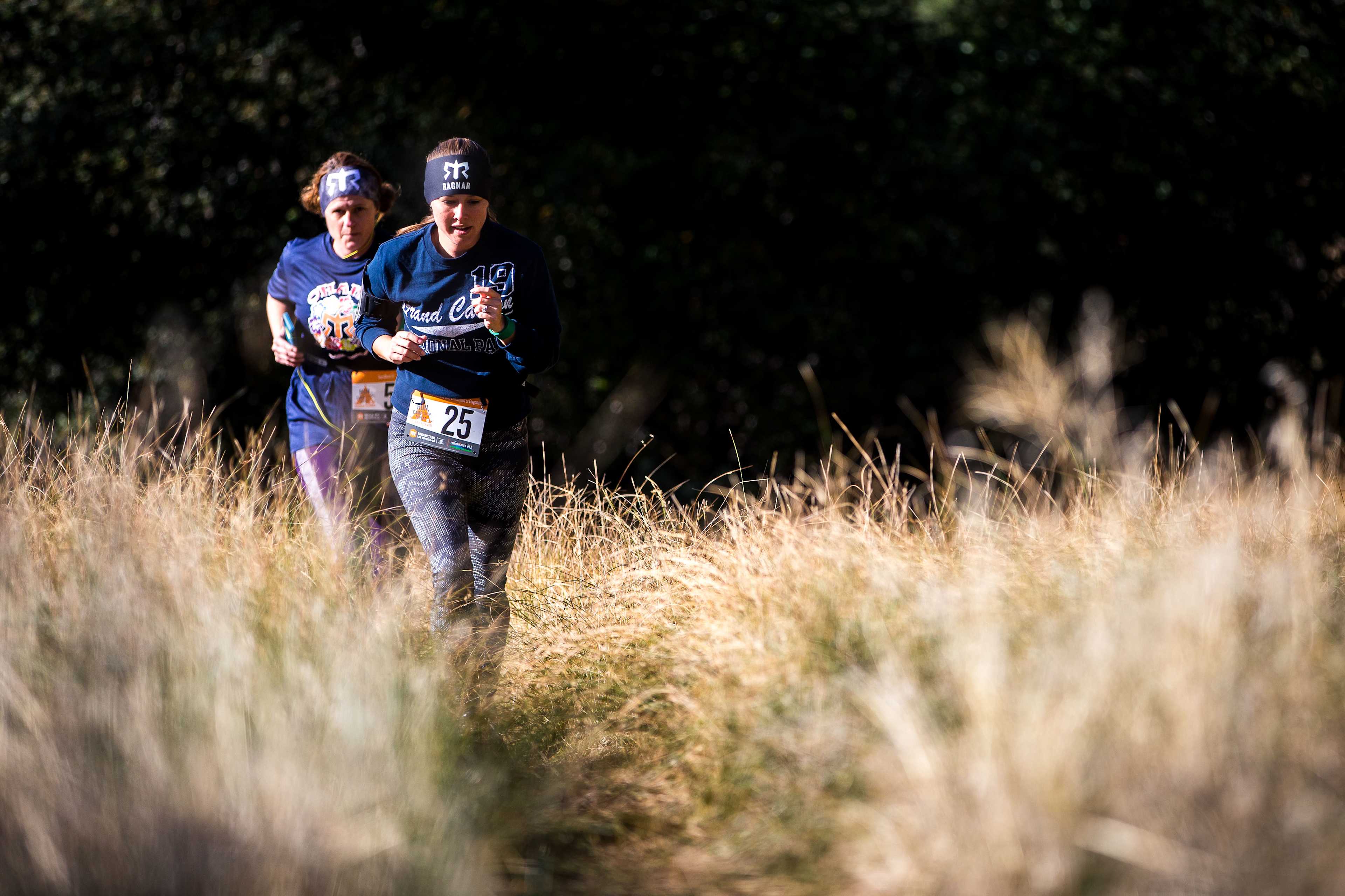 Secondary header image