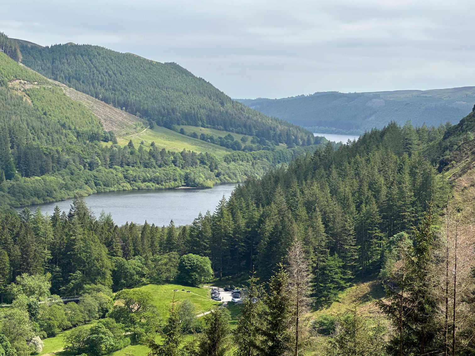 Secondary header image