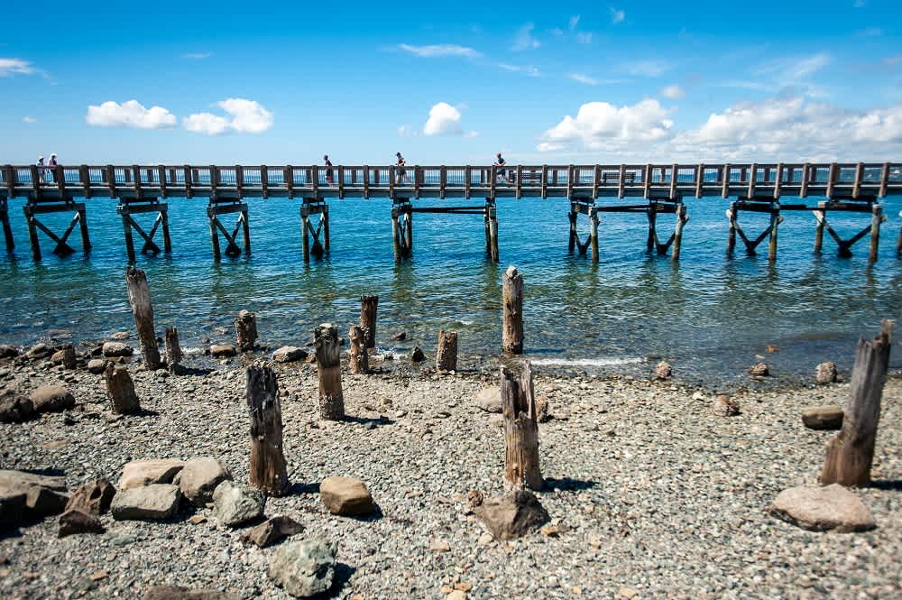 Secondary header image