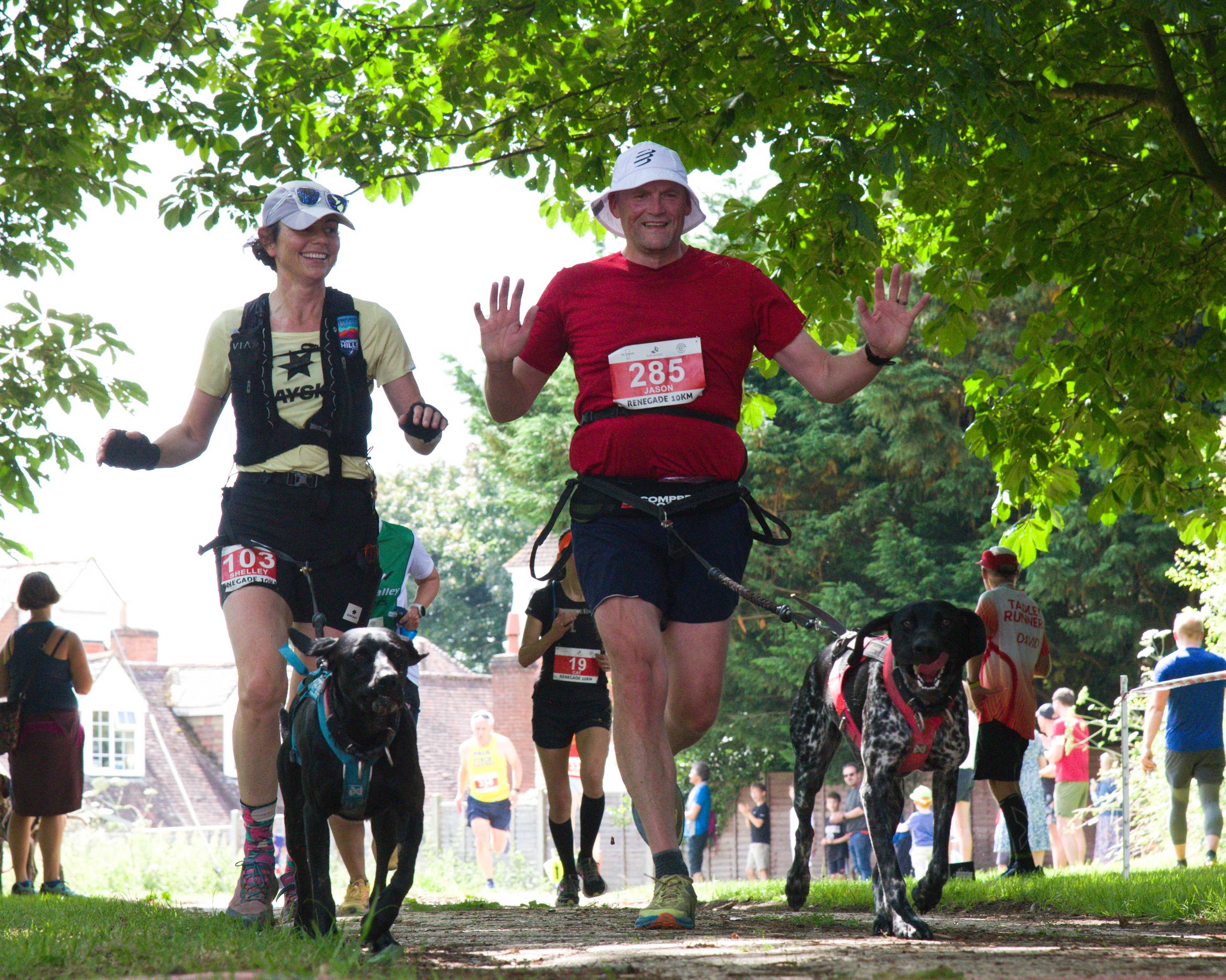 Secondary header image