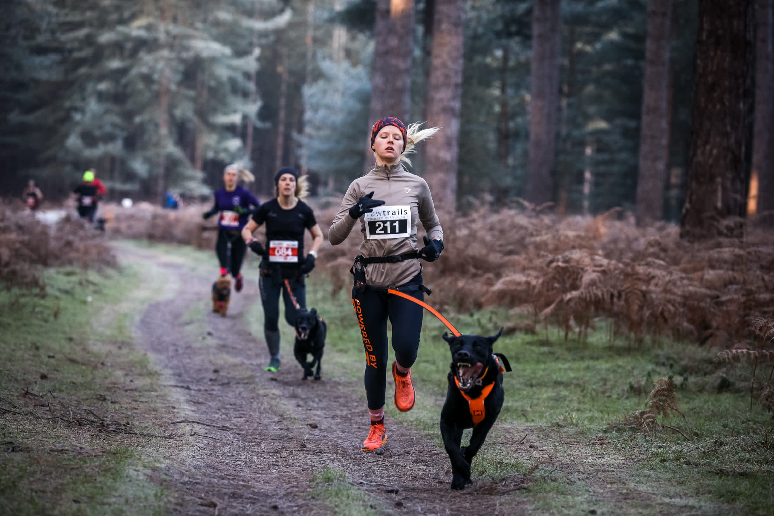 Secondary header image