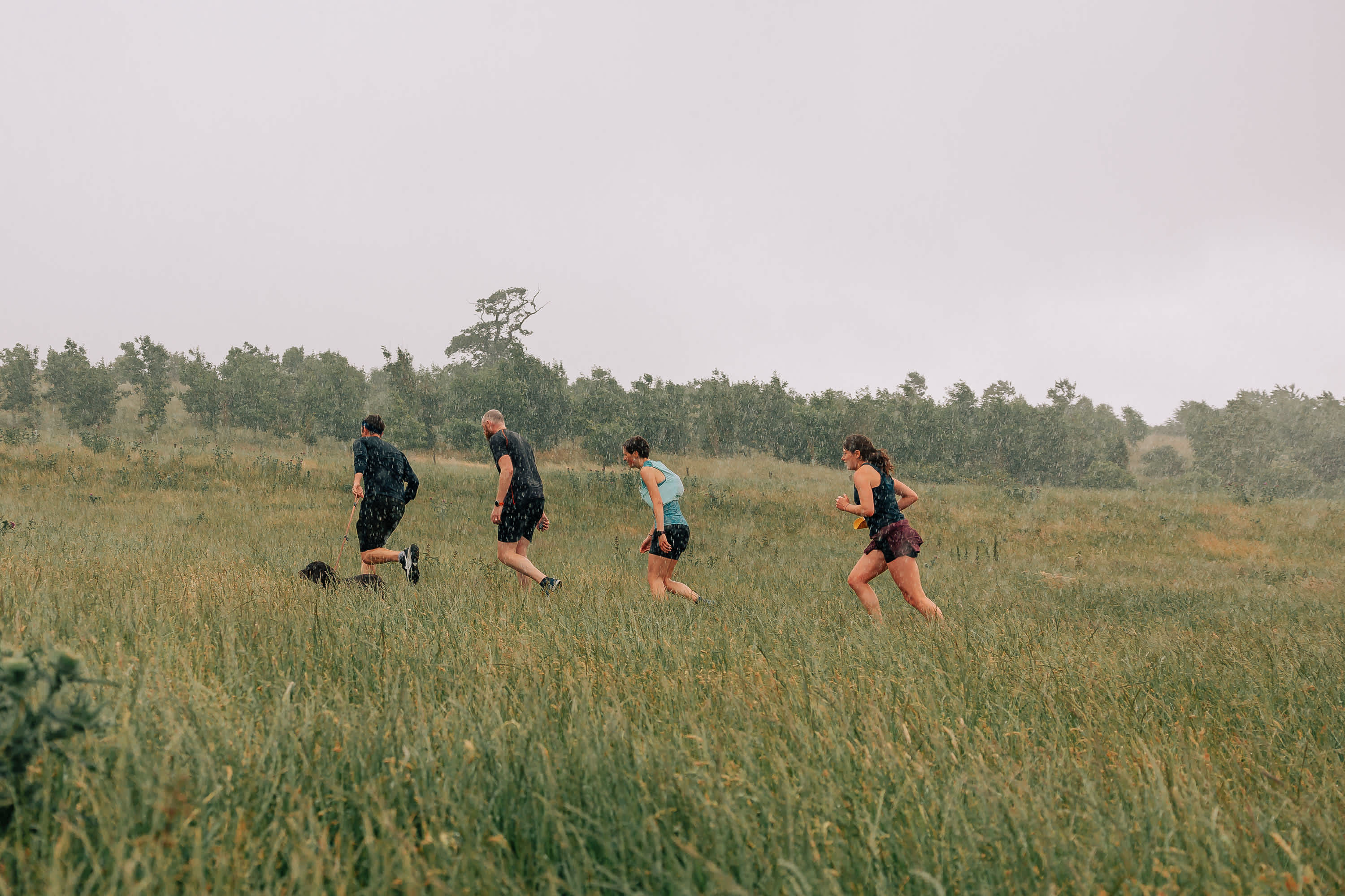 Secondary header image