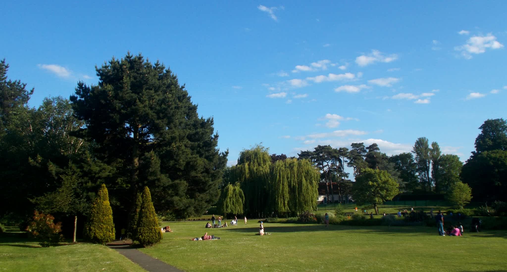 Secondary header image