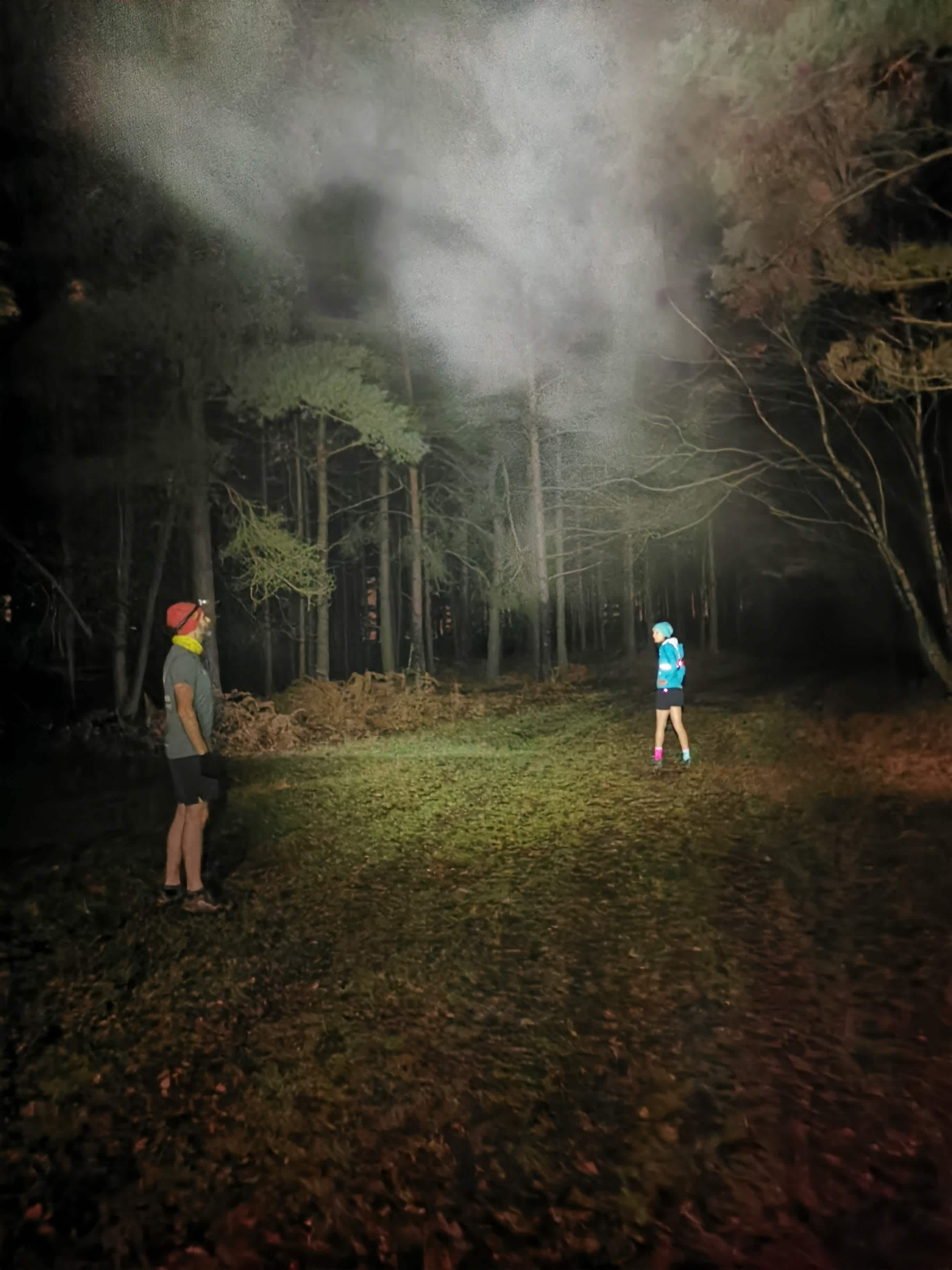 Secondary header image