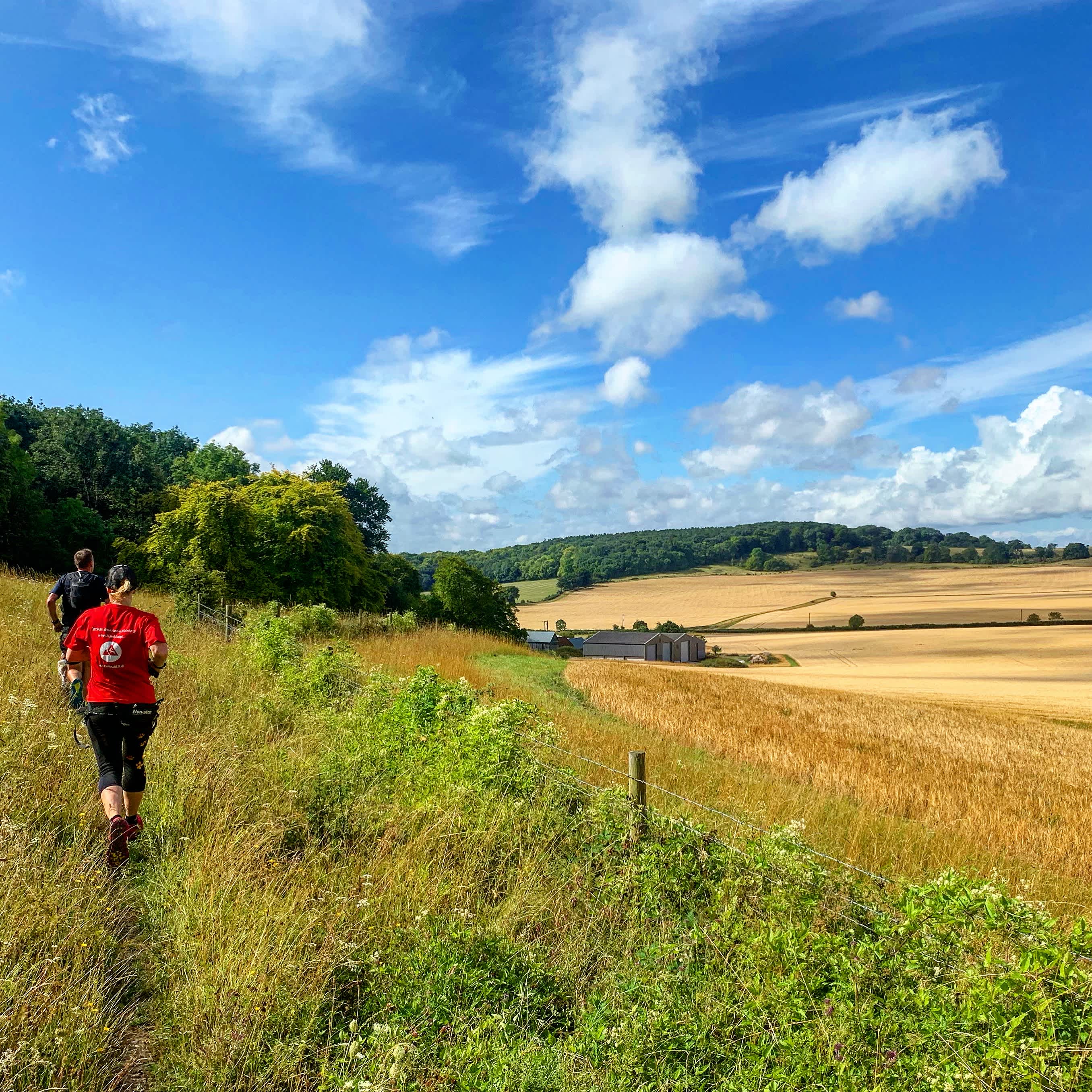 Secondary header image