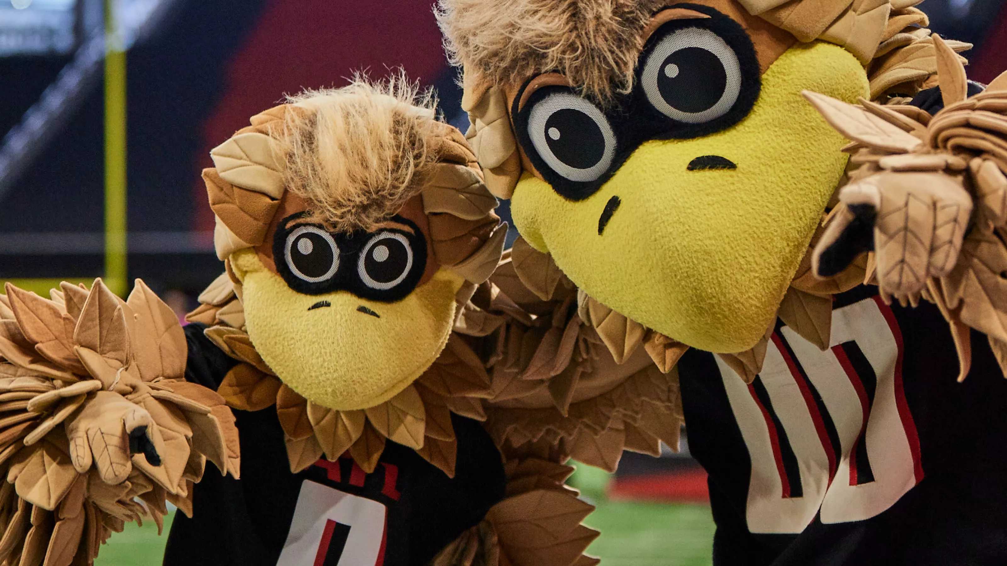 Secondary header image