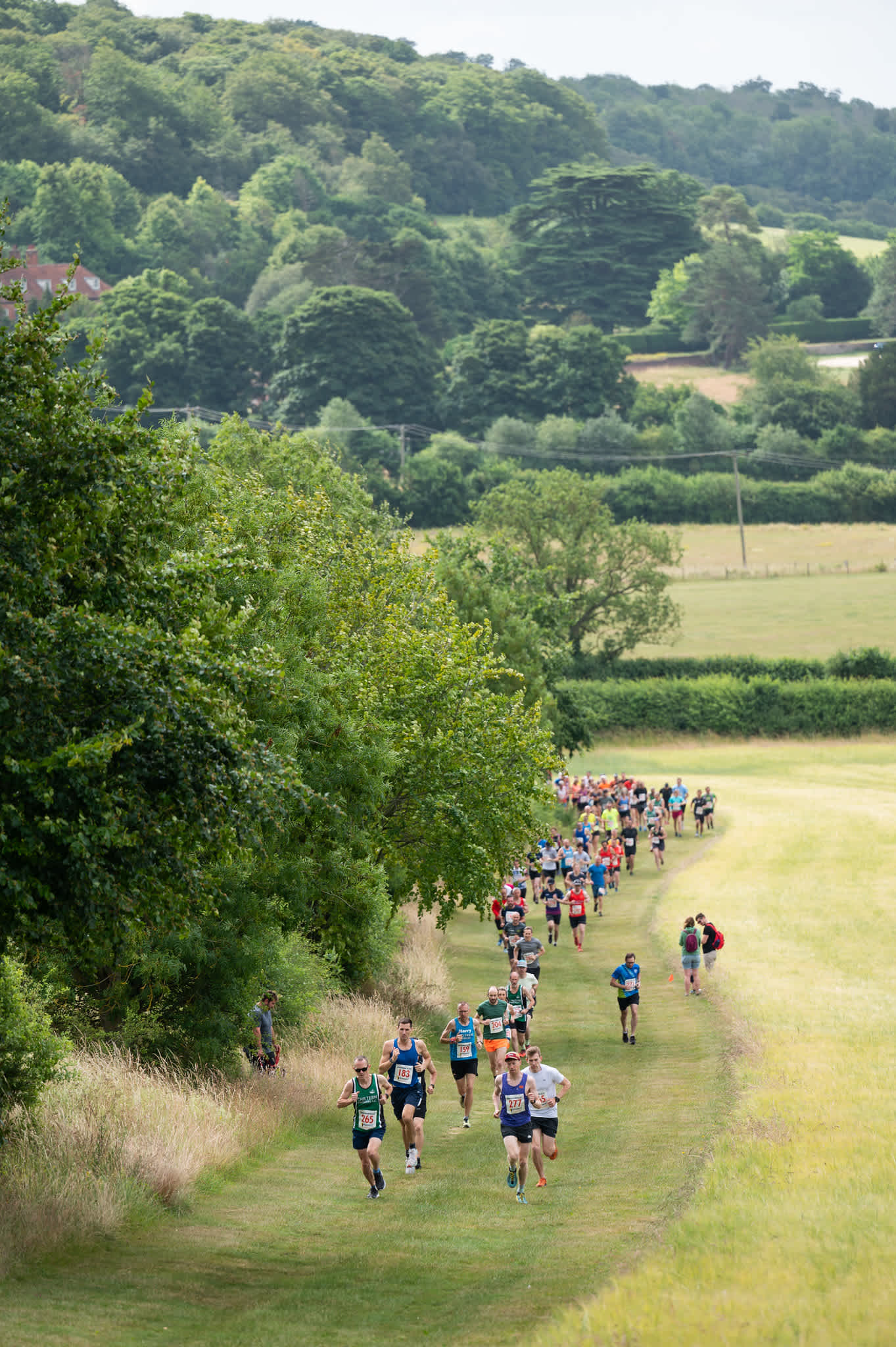 Secondary header image