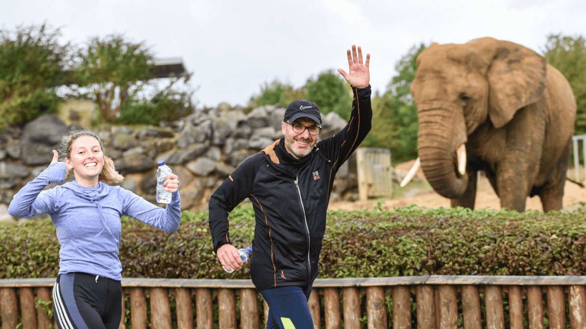 Secondary header image