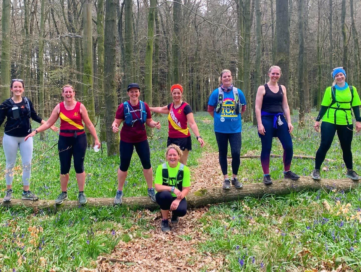 Secondary header image