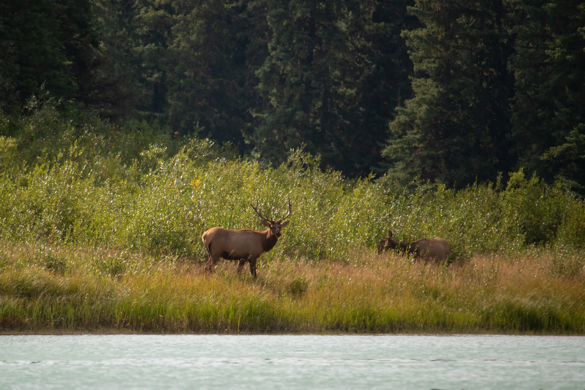 Secondary header image