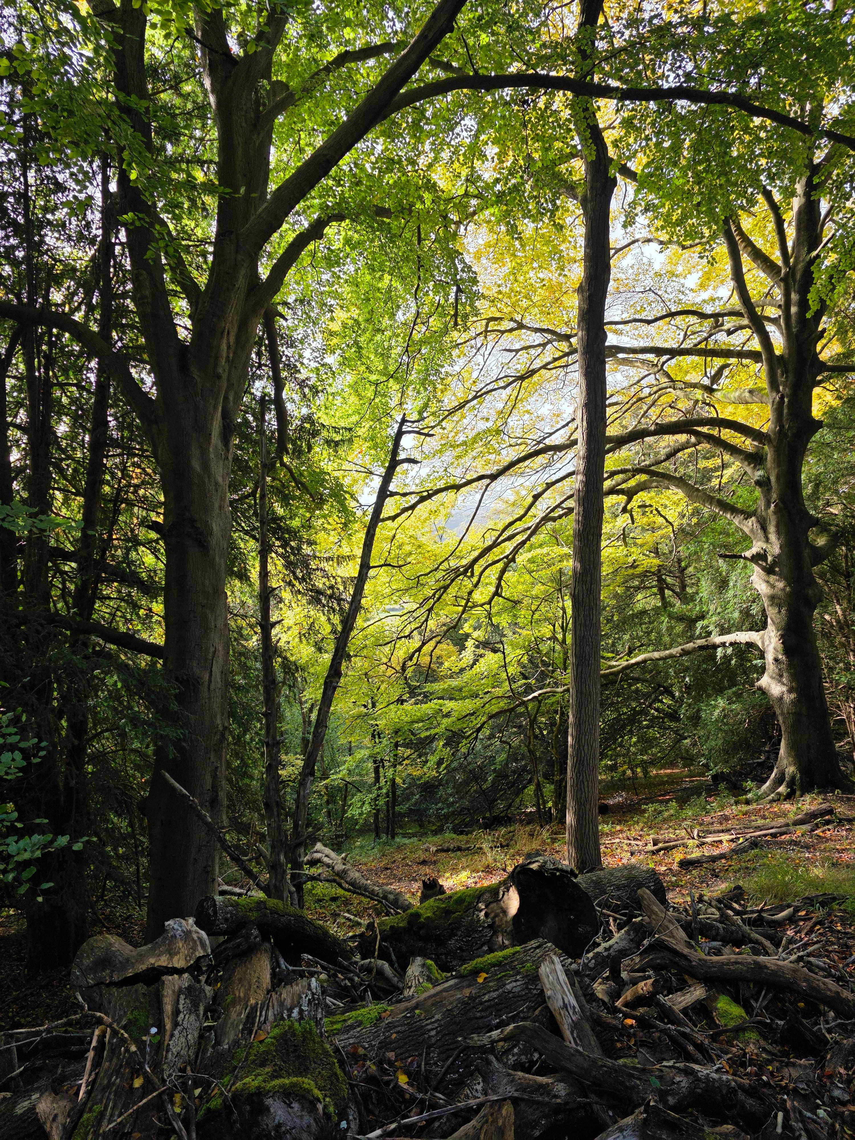 Secondary header image