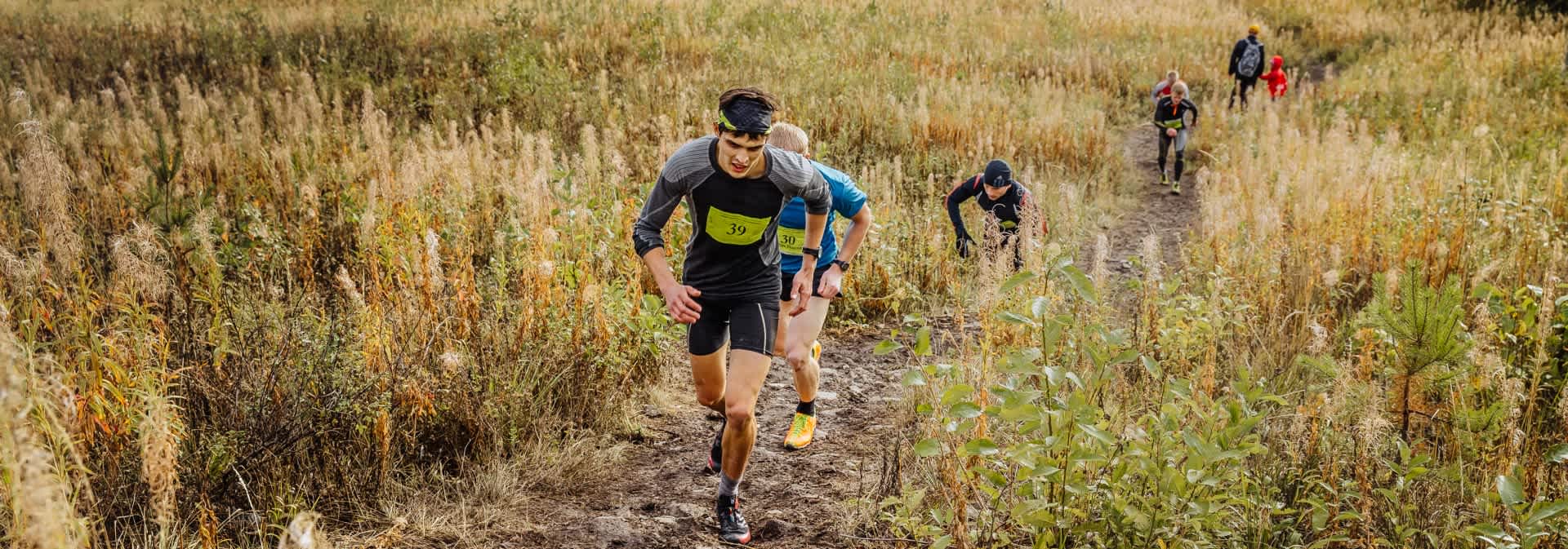 Secondary header image