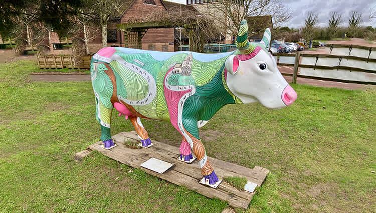 Secondary header image