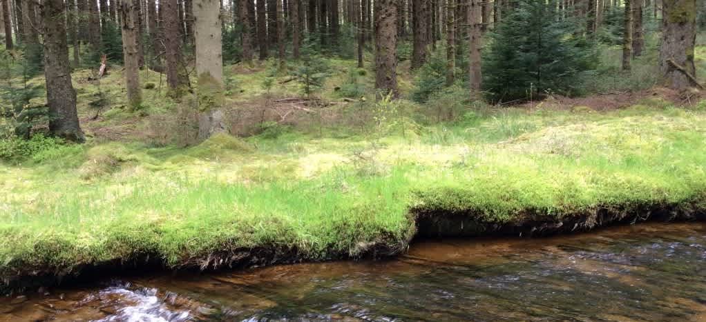 Secondary header image