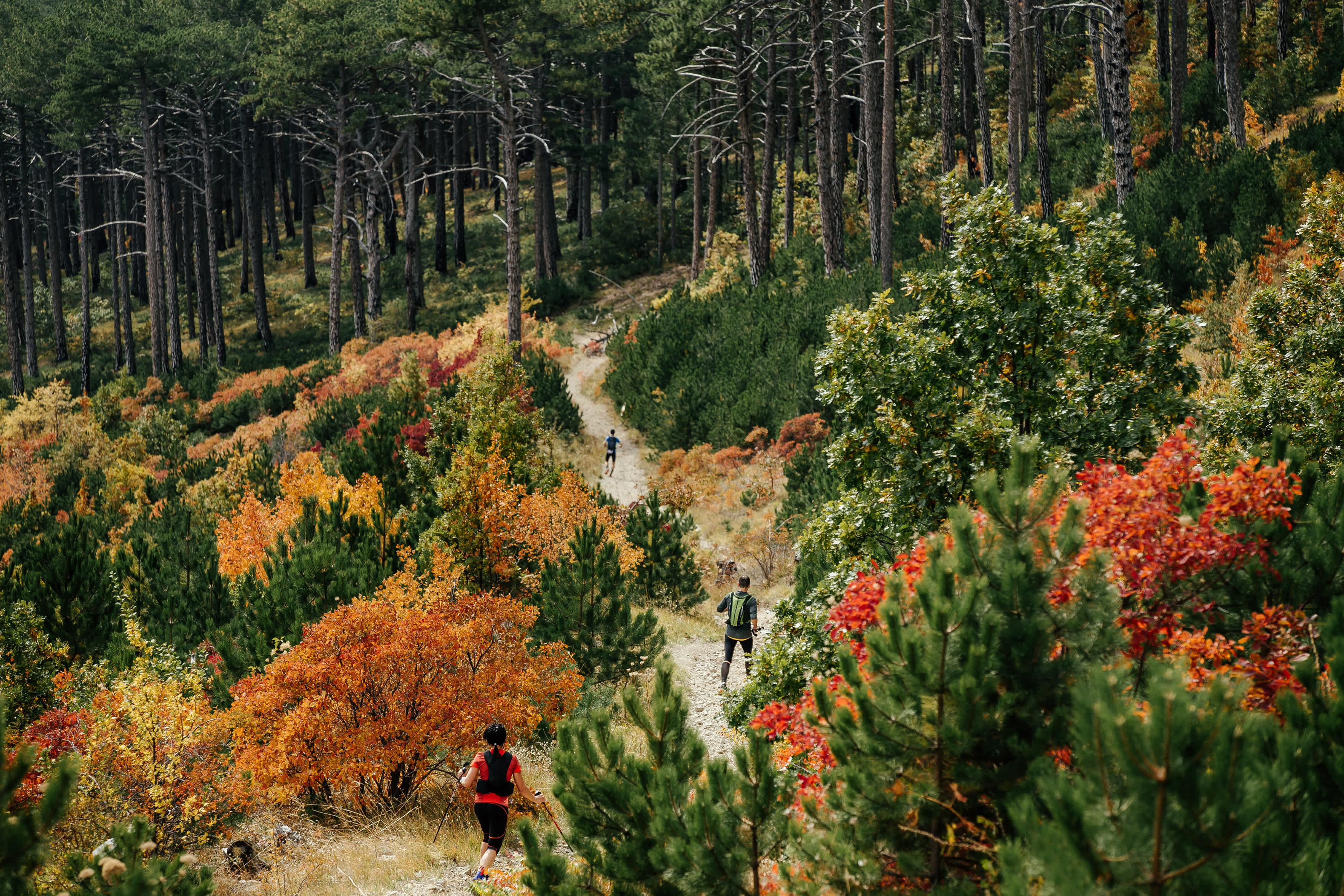 Secondary header image