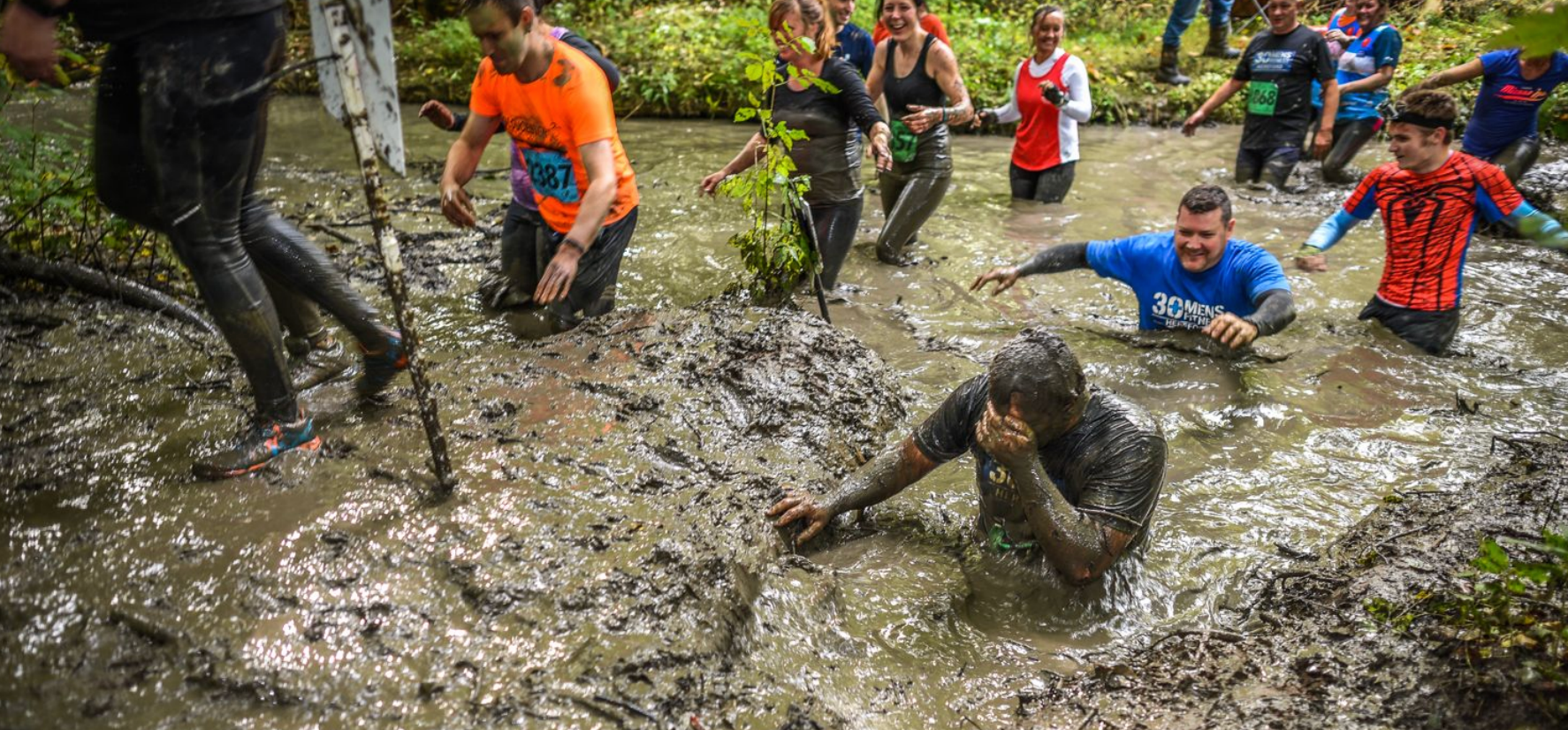 Secondary header image