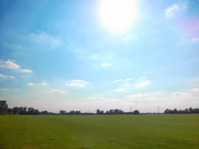 Secondary header image