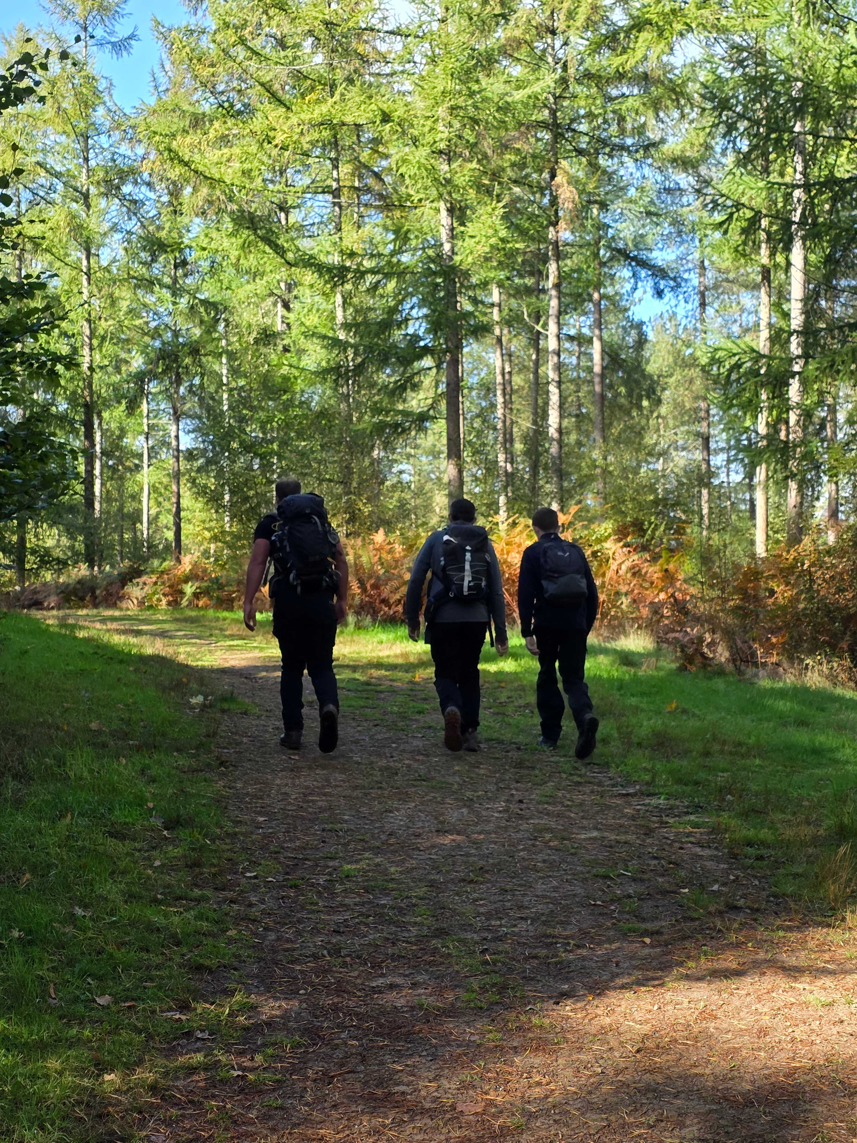 Secondary header image