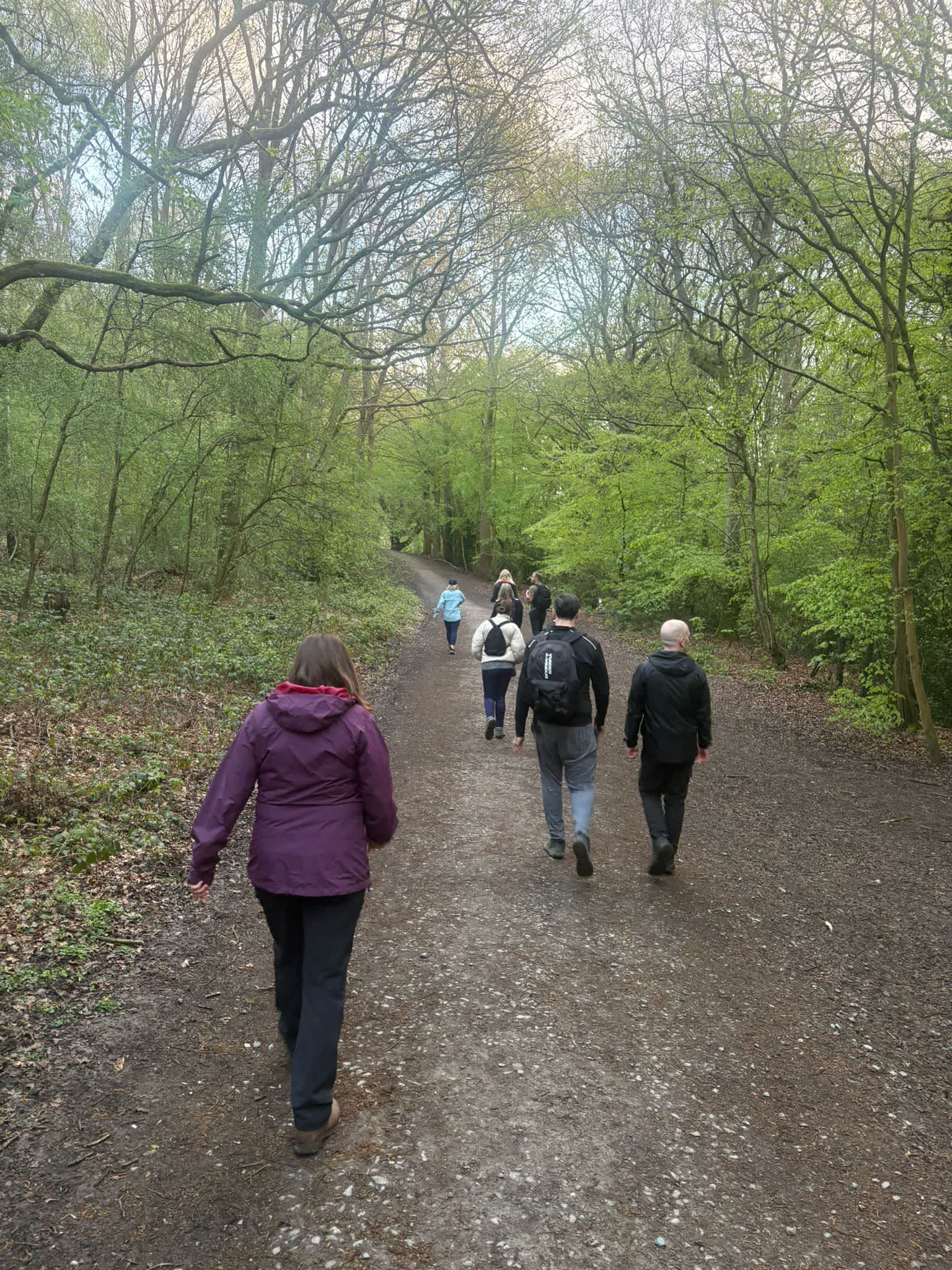 Secondary header image