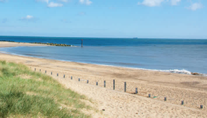 Secondary header image