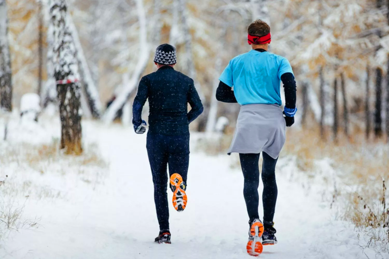 Secondary header image