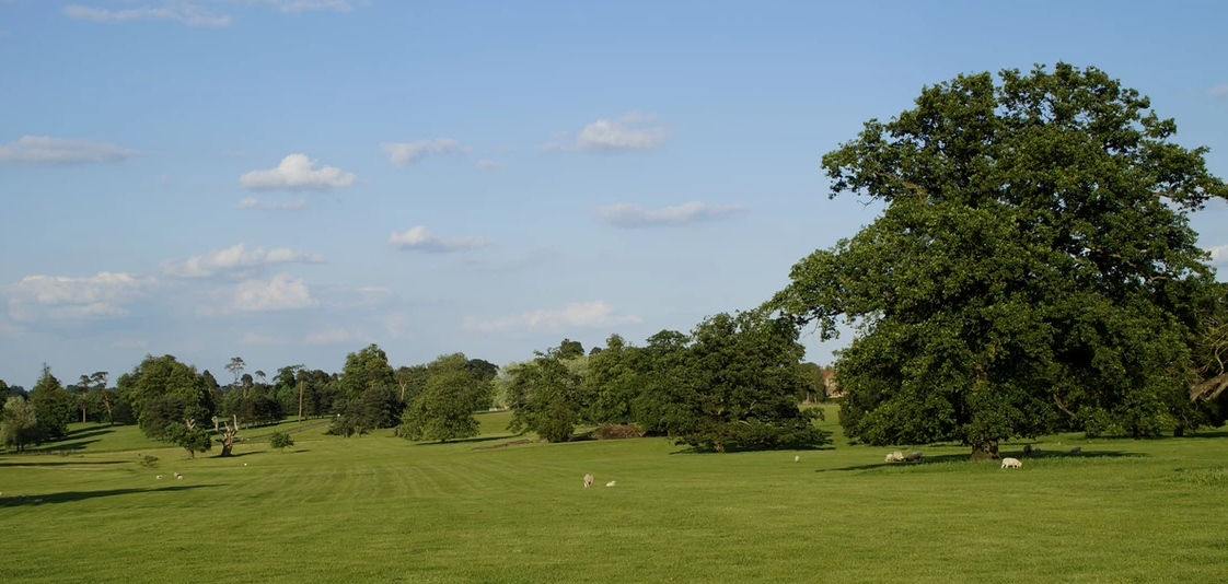 Secondary header image
