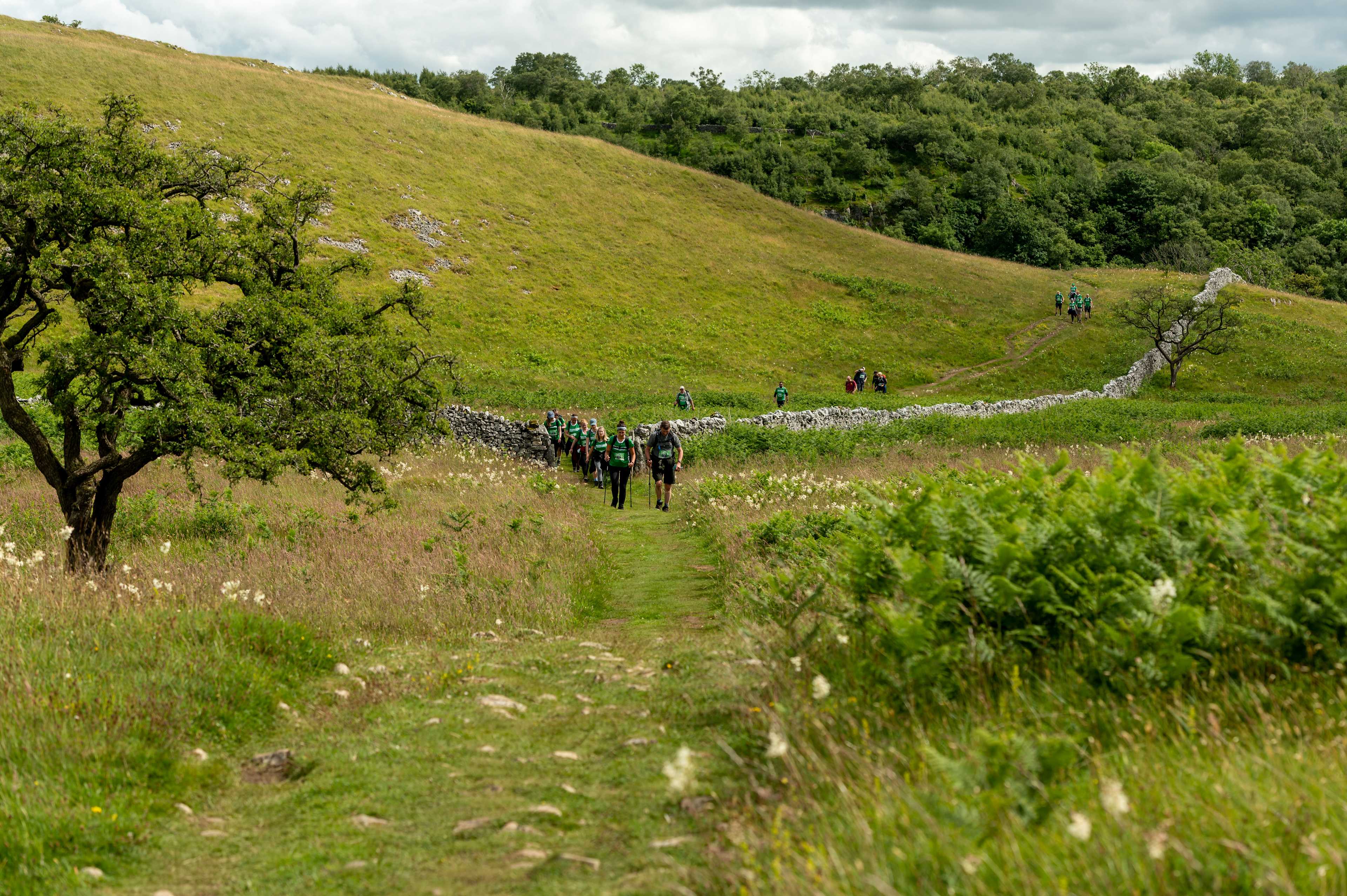 Secondary header image