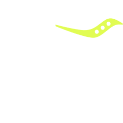 route