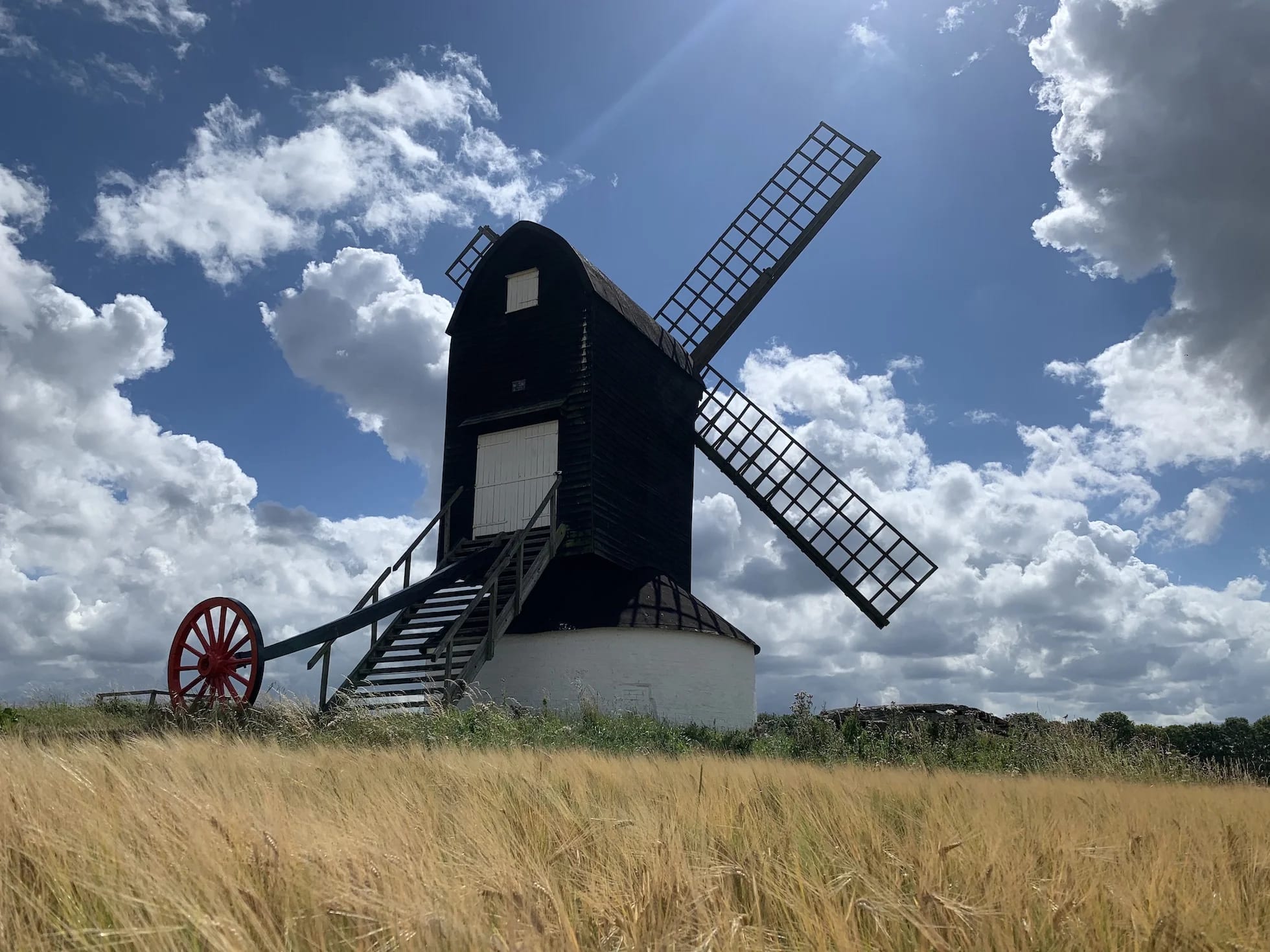 Water & Windmill 10 Miler
