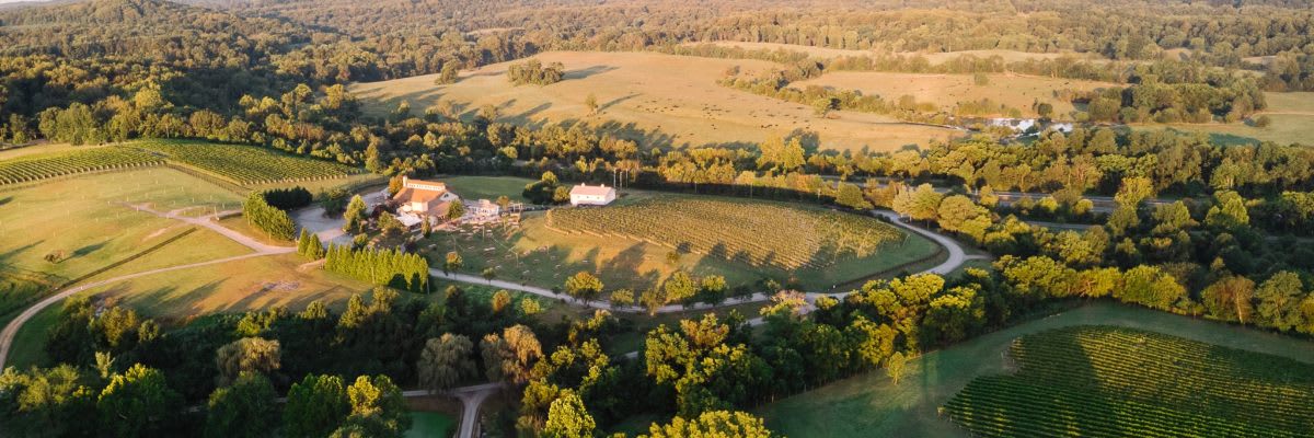 Barrel Oak Wine Run 5k