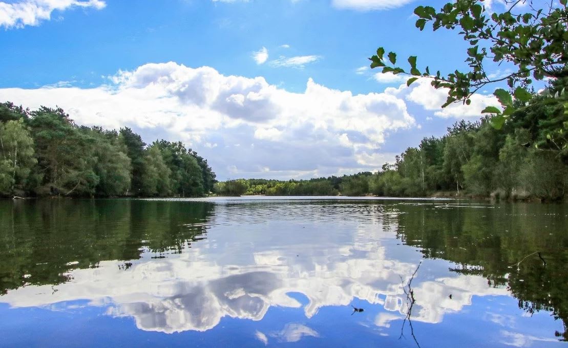 Norfolk Festival of Running