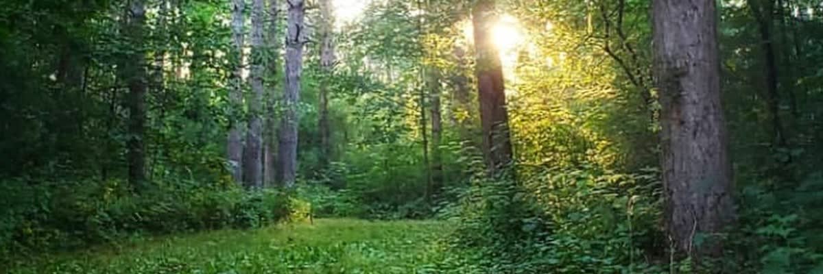 HELIOS 6/12/20 HOUR ULTRA