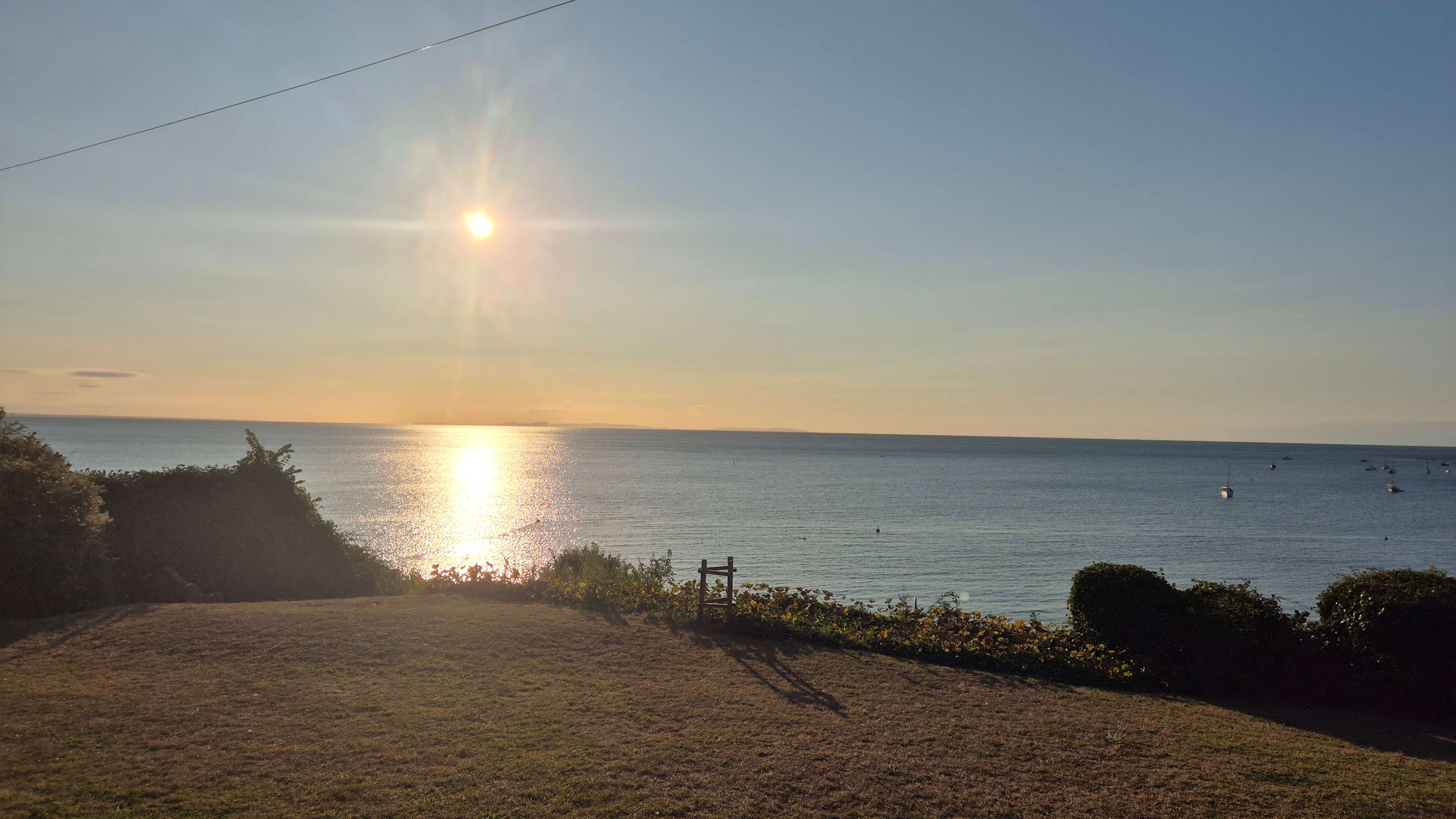 Backyard12 'Purbecks' Edition