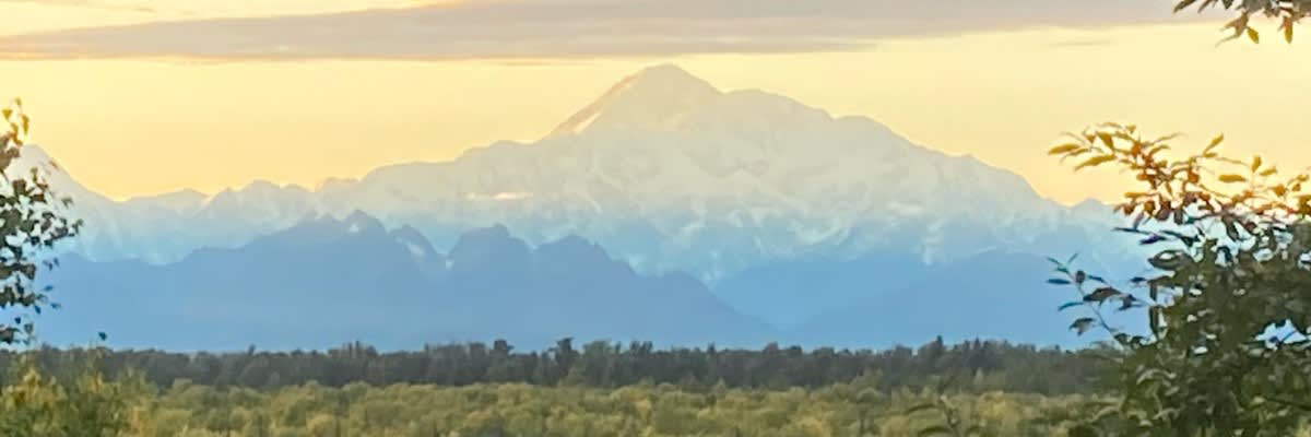Talkeetna Trail Race