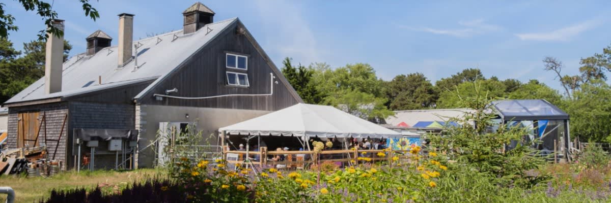 Nantucket Vineyard Wine Run 5k