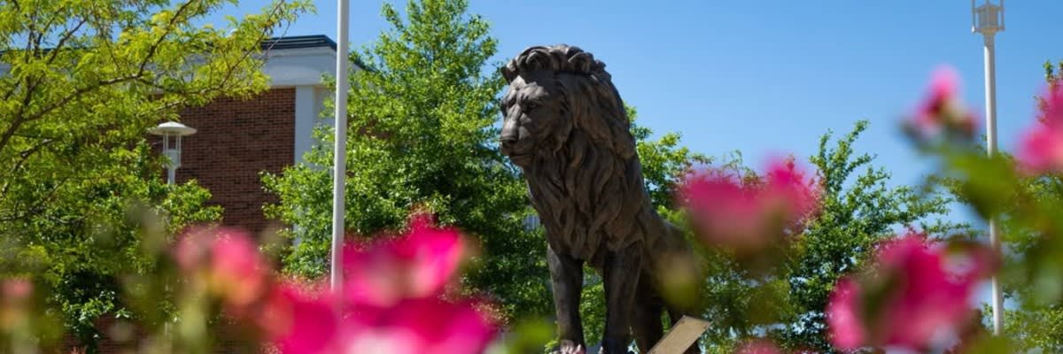 MSSU Run with the Pride