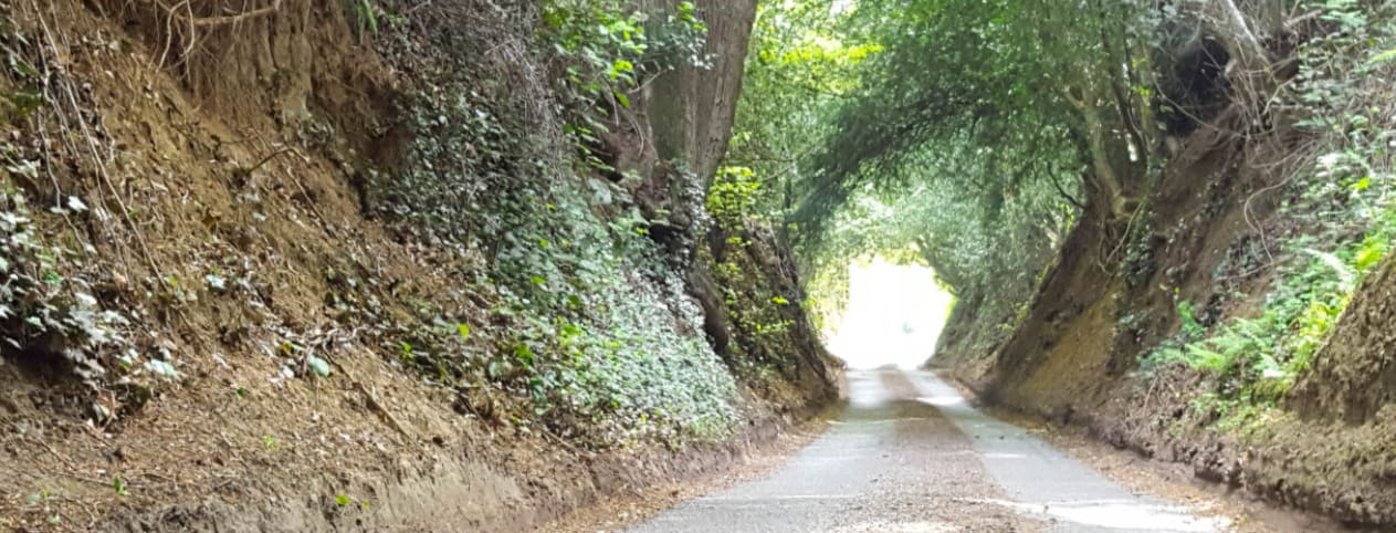 Cobham Sportive (aka No Feed 50)