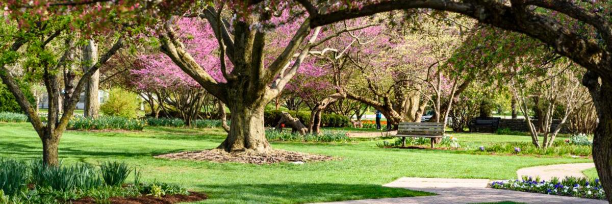 Double Dragon 2-Mile Kid Race