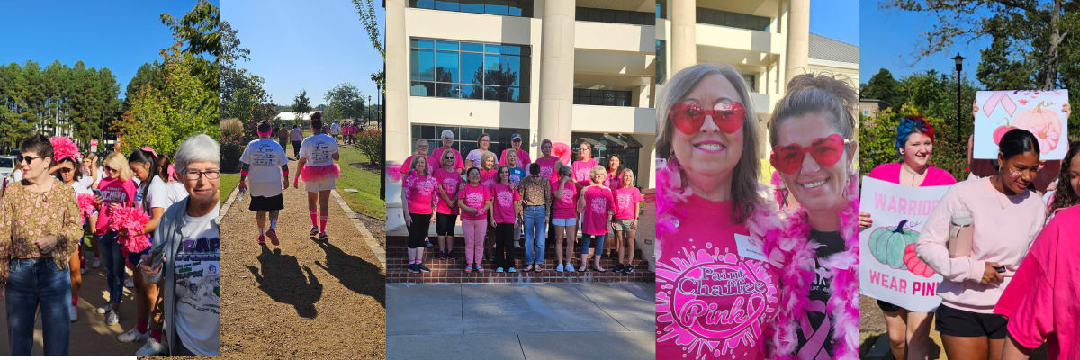 Paint Chaffee Pink
